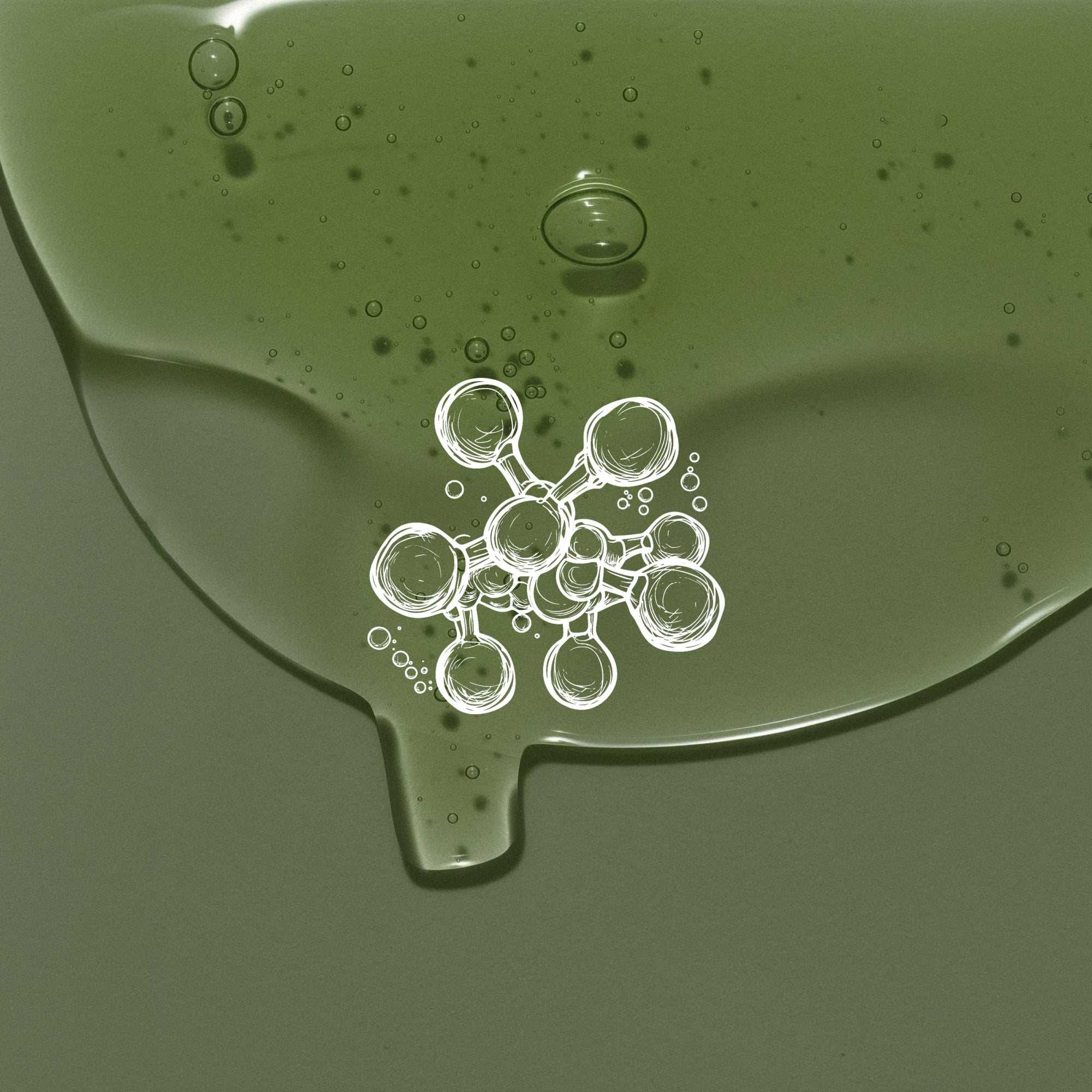 timeline ingredients hyaluronic acid