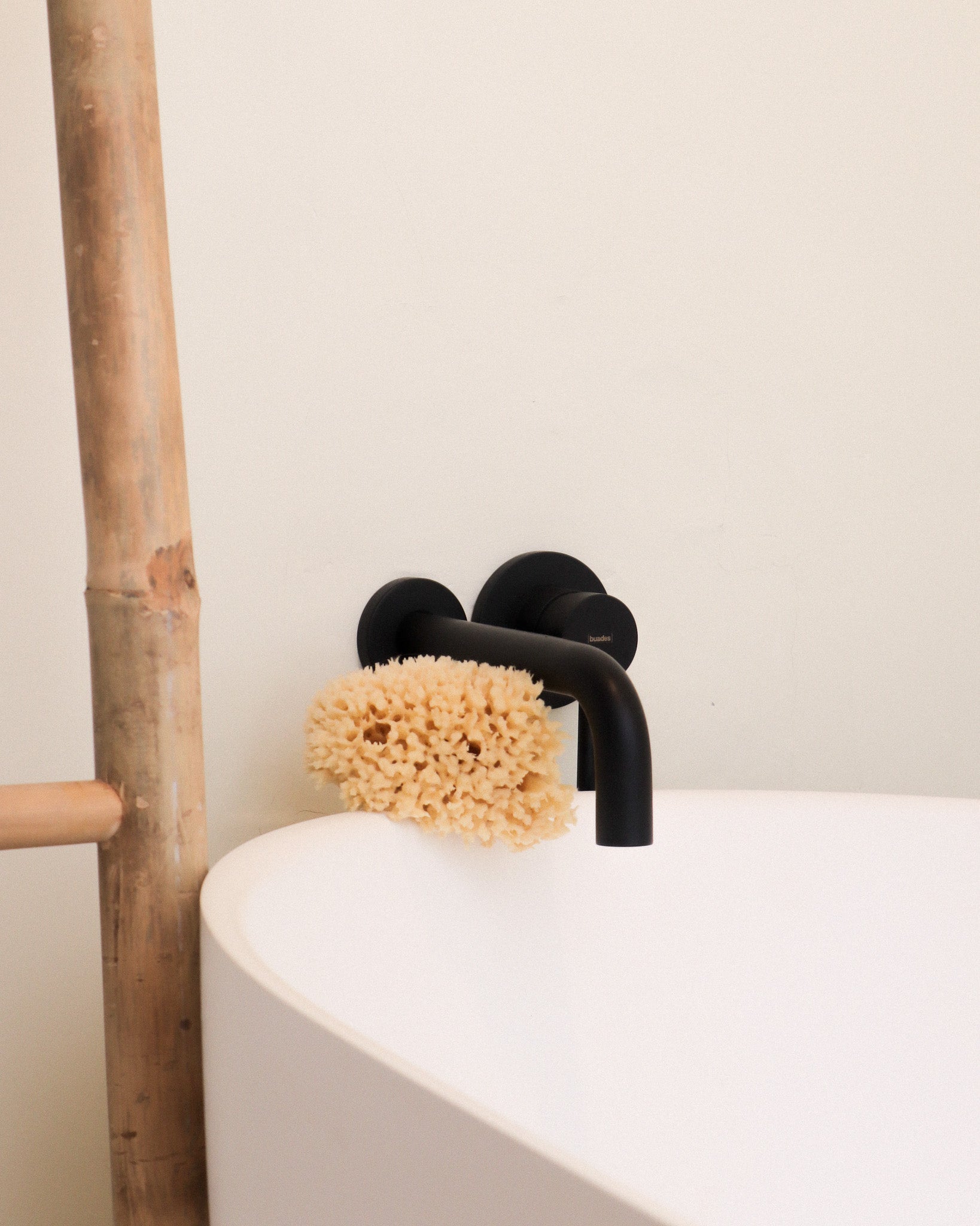Sea sponge – 2