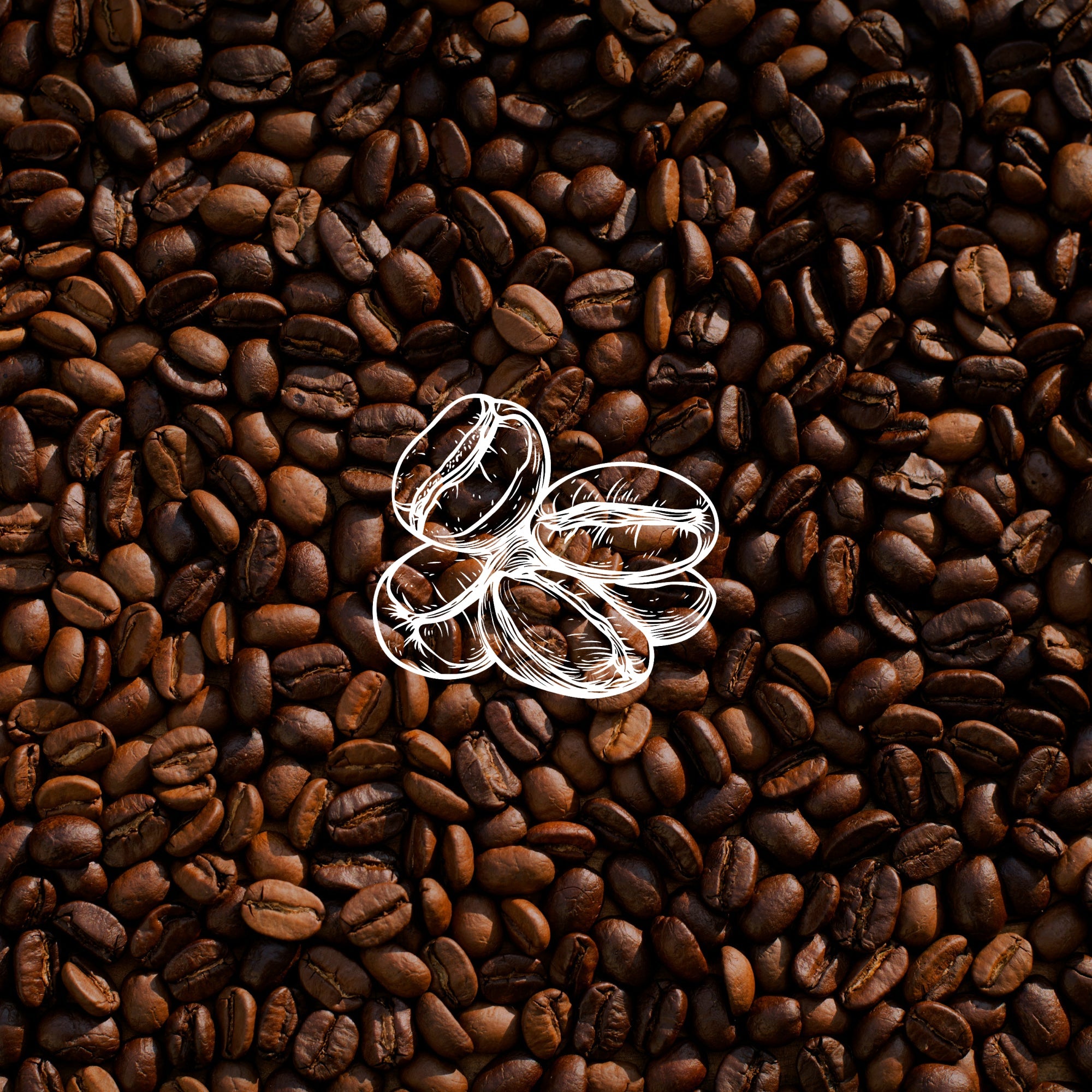 timeline ingredients coffee